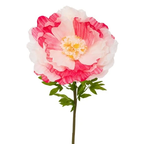 ARTIFICIAL GIANT STEMS FUCHSIA  WHITE PEONY IN ROUND BASE 60X60X140CM