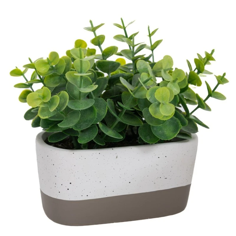 GRASS IN CERAMIC POT 14X7X19CM