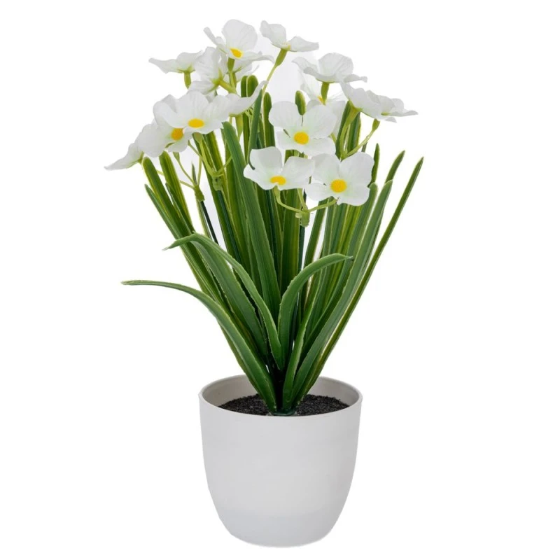 WHITE FLOWERS IN PLASTIC POT 10X9X28CM