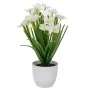 WHITE FLOWERS IN PLASTIC POT 10X9X28CM