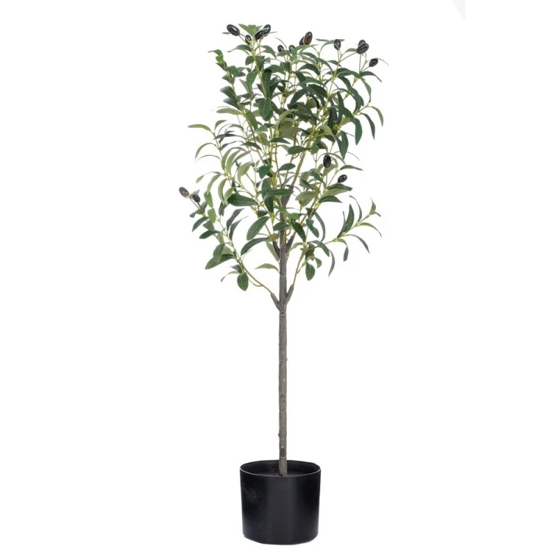 OLIVE TREE IN PLASTIC POT 90CM 15X14CM