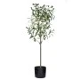 OLIVE TREE IN PLASTIC POT 90CM 15X14CM