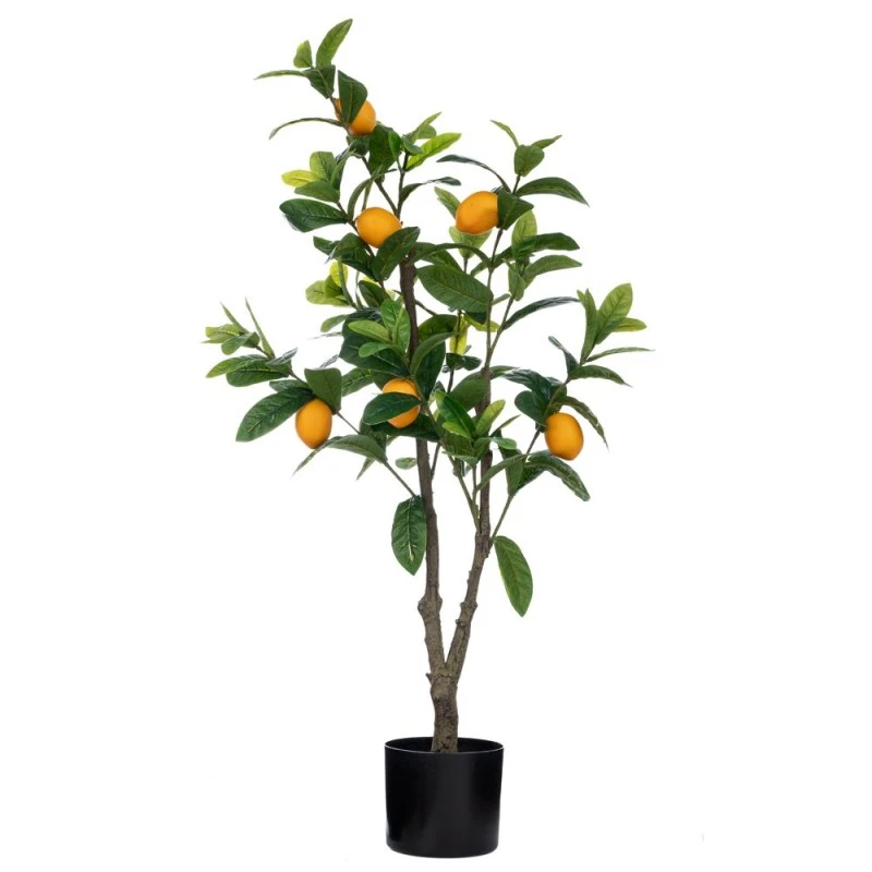 LEMON TREE 100CM 15X13CM