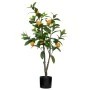 LEMON TREE 100CM 15X13CM