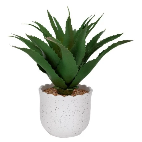ALOE IN CERAMIC POT 28X22 12X10CM