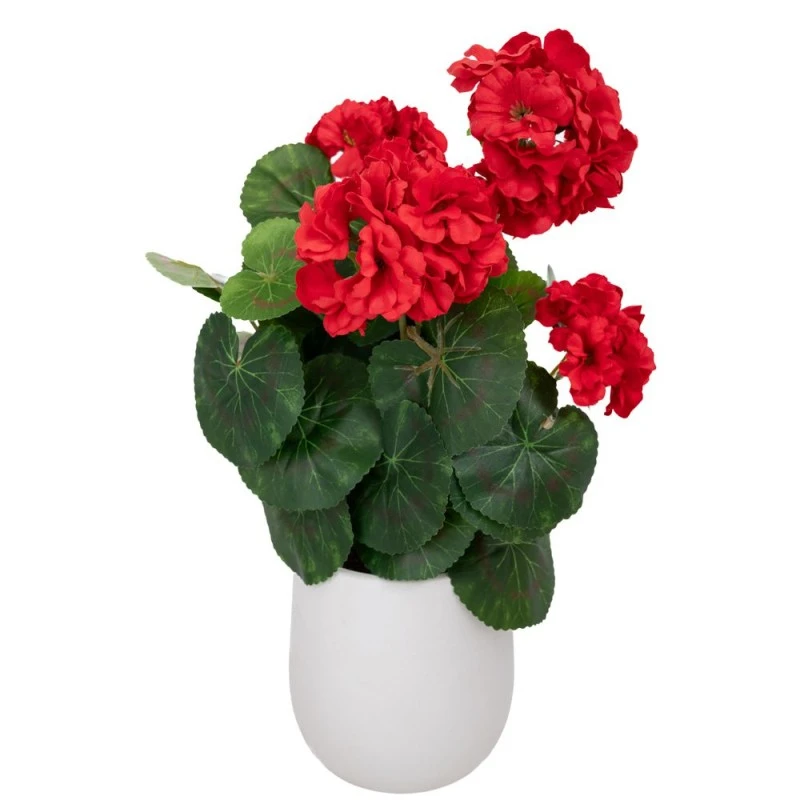 RED HYDRANGEA 38CM IN PLASTIC POT 11X12,5CM