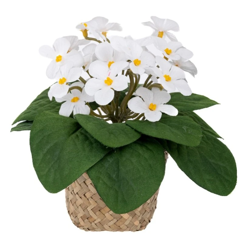 WHITE FLOWERS 17CM IN SEAGRASS POT 9X7CM