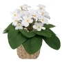 WHITE FLOWERS 17CM IN SEAGRASS POT 9X7CM