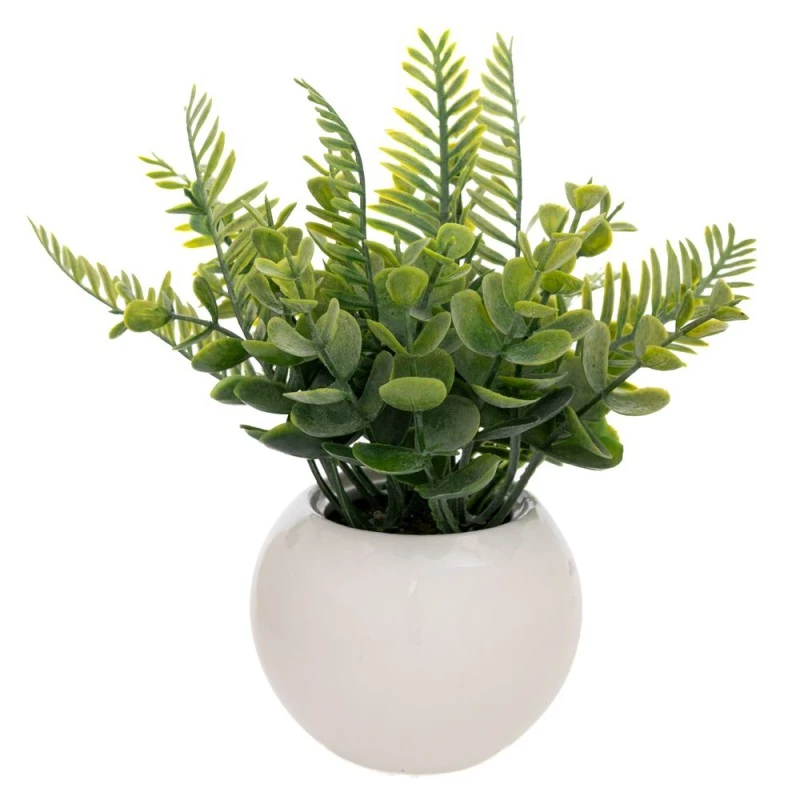 GREENERY 15CM IN CERAMIC POT 9X7CM