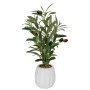 OLVE TREE 42CM IN CERAMIC POT 11X11CM