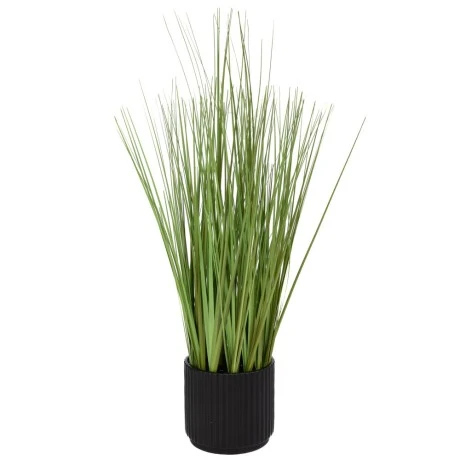 GRASS 48CM IN CERAMIC POT 10X10CM