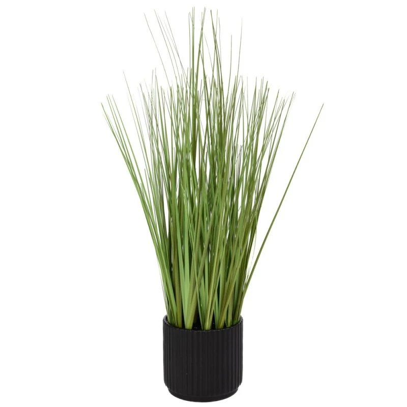 GRASS 48CM IN CERAMIC POT 10X10CM