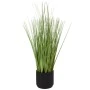 GRASS 48CM IN CERAMIC POT 10X10CM