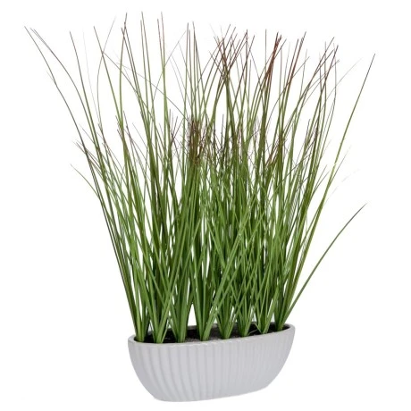GRASS 47CM IN CERAMIC POT 15X9CM