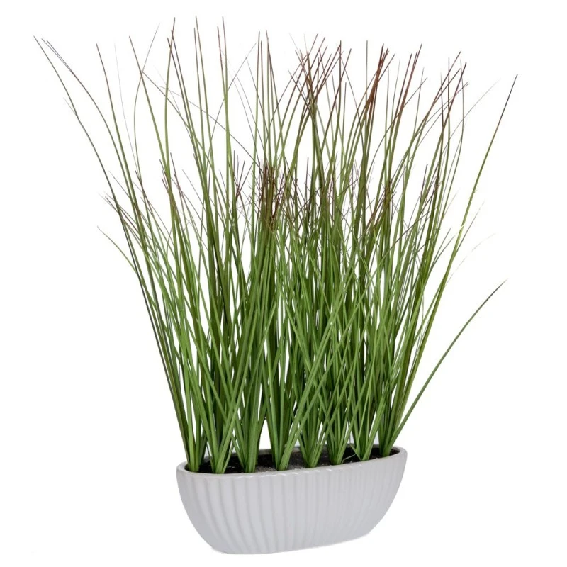 GRASS 47CM IN CERAMIC POT 15X9CM