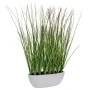 GRASS 47CM IN CERAMIC POT 15X9CM
