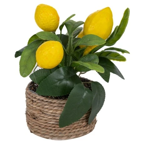 SMALL POT WITH FAUX LEMONS