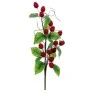 RED BERRIES STEM