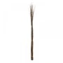 BROWN WILLOW BUNDLE 210CM