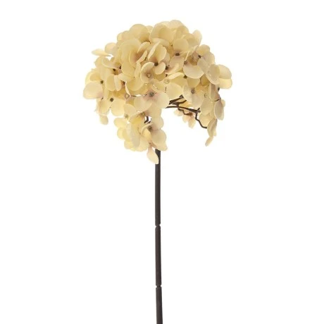 BEIGE HYDRANGEA STEM D14 54CM