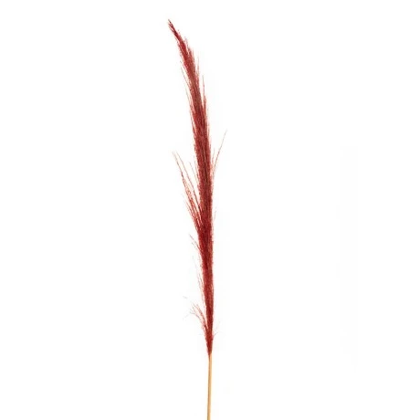 LARGE RED FAUX PAMPAS GRASS 150CM