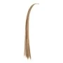 SET 10 BROWN ARTIFICIAL HANGING PAMPAS GRASS 115CM