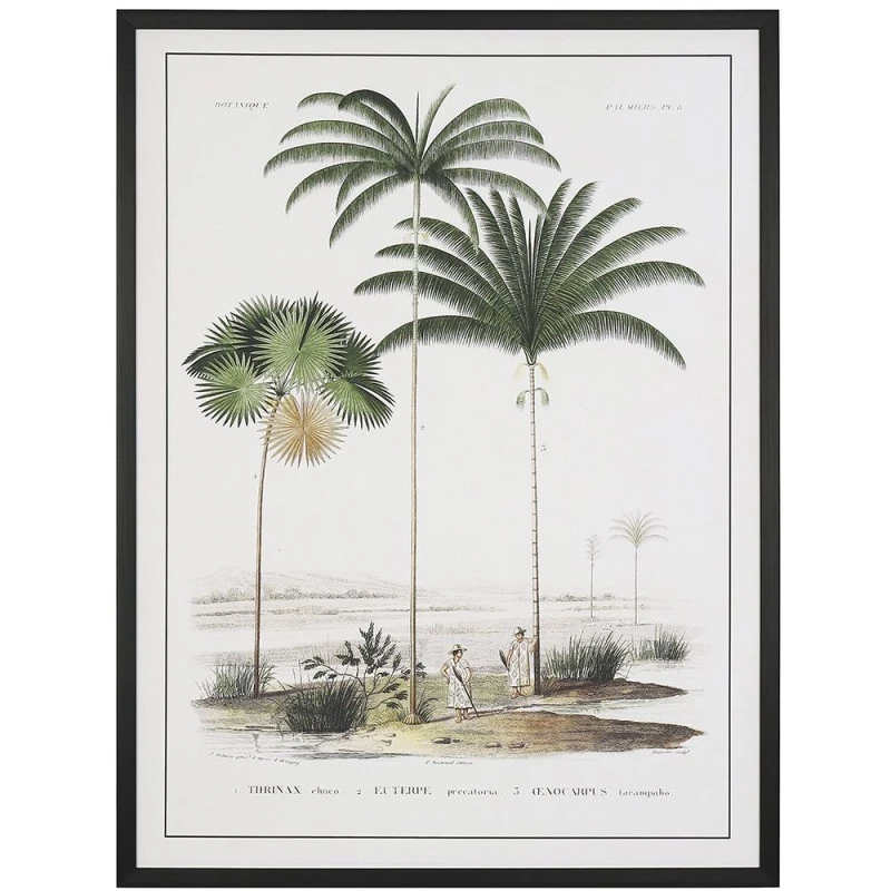 FRAMED PRINT ON CANVAS 60X80 CM RETRO PALM TREES