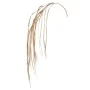 GOLD COLOR HANGING STEM 120CM