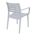 ΑΡΤΕΜΙΣ SILVER GREY ΠΟΛΥΘΡΟΝΑ ΠΟΛ/ΝΙΟΥ - 20.0327