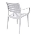 ΑΡΤΕΜΙΣ WHITE ΠΟΛΥΘΡΟΝΑ ΠΟΛ/ΝΙΟΥ - 20.0332