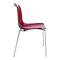 ALLEGRA RED TRANSP.ΚΑΡΕΚΛΑ
