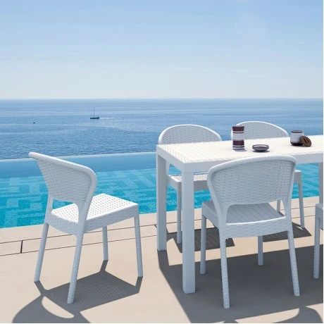 ΝΤΑΙΤΟΝΑ WHITE ΚΑΡΕΚΛΑ ΠΟΛ/ΝΙΟΥ - 53.0089