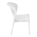 ΝΤΑΙΤΟΝΑ WHITE ΚΑΡΕΚΛΑ ΠΟΛ/ΝΙΟΥ - 53.0089