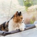 Hammock for cats Catlax Innovagoods V0103474 color gray 56x38cm.
