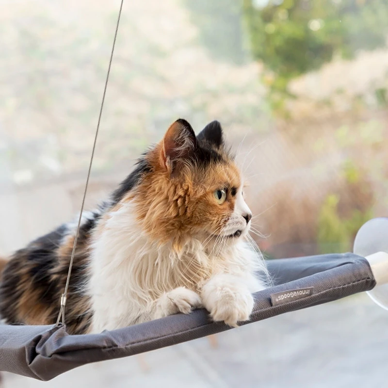 Hammock for cats Catlax Innovagoods V0103474 color gray 56x38cm.