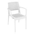 ΚΑΠΡΙ ΠΟΛ/ΝΑ WHITE(Σ22) ΠΟΛ/ΝΙΟΥ - 53.0046