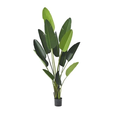 ARTIFICIAL RAVENALA PLANT WITH 13 LEAVES 235CM IN PLASTIC POT 20X18 CM
