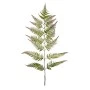 GREEN GIANT FERN STEM 163CM
