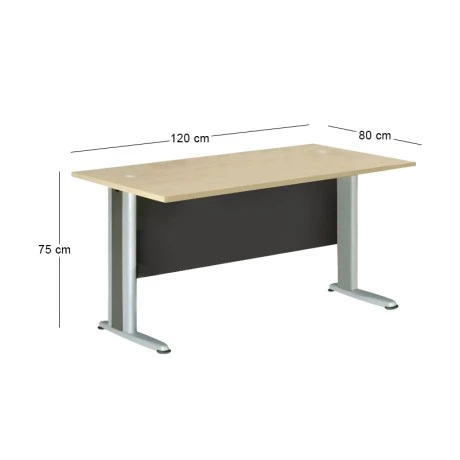 Basic professional office in dark grey - beech color 120x80x75cm.