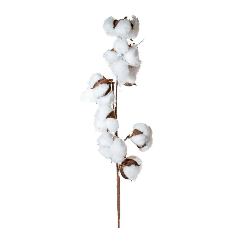 BROWN BRANCH X3 WITH 8 COTTON BALLS 83CM