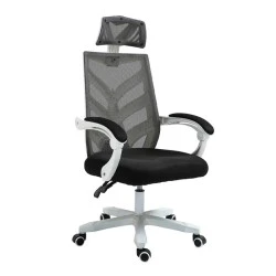 BF2985 Πολυθρόνα Γραφείου Διευθυντή Άσπρο - Mesh Μαύρο BF2985 Πολυθρόνα Γραφείου Διευθυντή Άσπρο - Mesh Μαύρο