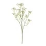 WHITE GYPSO STEM 62CM
