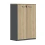 PROGRESS Cabinet Elm/Grey