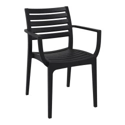 ΑΡΤΕΜΙΣ BLACK ΠΟΛΥΘΡΟΝΑ ΠΟΛ/ΝΙΟΥ - 20.0328 ΑΡΤΕΜΙΣ BLACK ΠΟΛΥΘΡΟΝΑ ΠΟΛ/ΝΙΟΥ - 20.0328