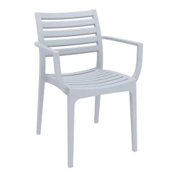 ΑΡΤΕΜΙΣ SILVER GREY ΠΟΛΥΘΡΟΝΑ ΠΟΛ/ΝΙΟΥ - 20.0327 ΑΡΤΕΜΙΣ SILVER GREY ΠΟΛΥΘΡΟΝΑ ΠΟΛ/ΝΙΟΥ - 20.0327