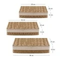 ΣΕΤ 3 ΣΧΟΙΝΕΝΙΟ ΠΑΝΕΡΙ ΜΕ ΚΑΠΑΚΙ 36X27X13  33X24X12  28Χ20Χ11ΕΚ