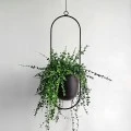 Metal hanging flower pot in black color Φ15cm.