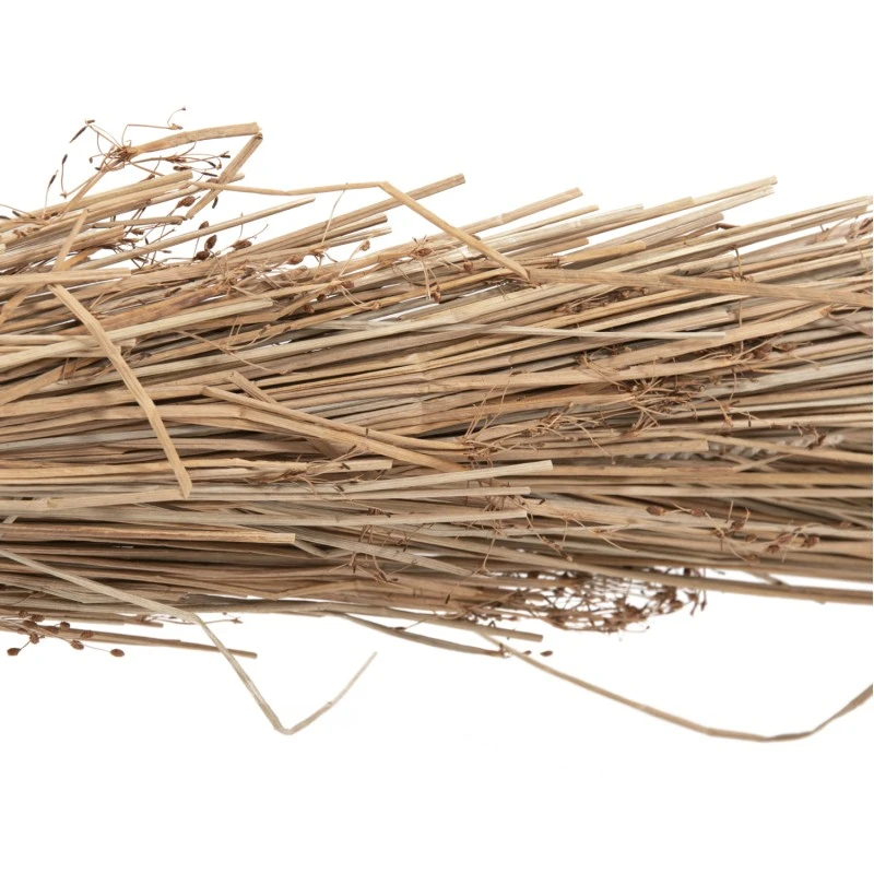 ΔΙΑΚΟΣΜΗΤΙΚΟ ΔΕΝΤΡΟ TROPIC HM4322 τ.ΦΟΙΝΙΚΑ ΑΠΟ MENDONG GRASS 360Yεκ.