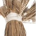 ΔΙΑΚΟΣΜΗΤΙΚΟ ΔΕΝΤΡΟ TROPIC HM4323 τ.ΦΟΙΝΙΚΑ ΑΠΟ MENDONG GRASS 310Yεκ.