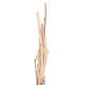 ΔΙΑΚΟΣΜΗΤΙΚΟ ΦΩΤΙΣΤΙΚΟ ΔΑΠΕΔΟΥ FLAMER HM4439 DRIFTWOOD ΣΕ ΦΥΣΙΚΟ 30x30x179Υεκ.